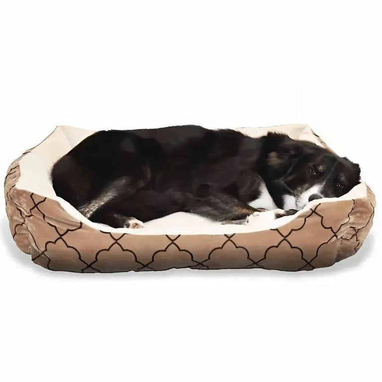 Soothing the Achy Joints of the Golden Years: The Benefits of a Dog Bed for Senior Pets - Bean Bags R Us