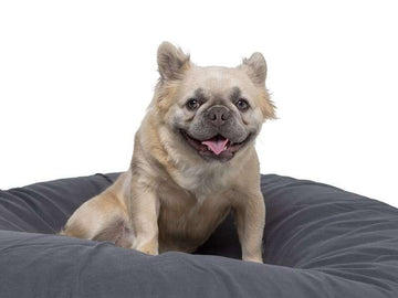 Noah Round Large Dog Bed Bean Bags R Us